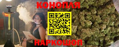 шишки Конаково