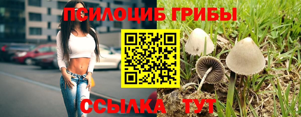 Галлюциногенные грибы MAGIC MUSHROOMS Джанкой